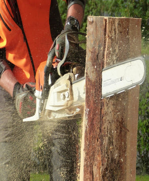 Best way to cut a tree